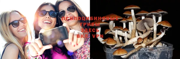 ALPHA PVP Володарск