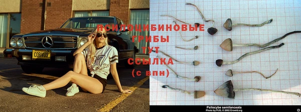 амф Волоколамск