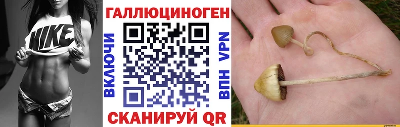 Галлюциногенные грибы мухоморы  Купить  Красноперекопск 